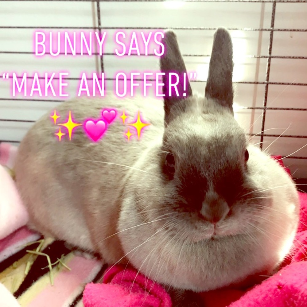 ✨🐰MAKE ME AN OFFER🐰✨